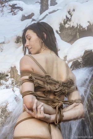 Artemisdune Photo #1