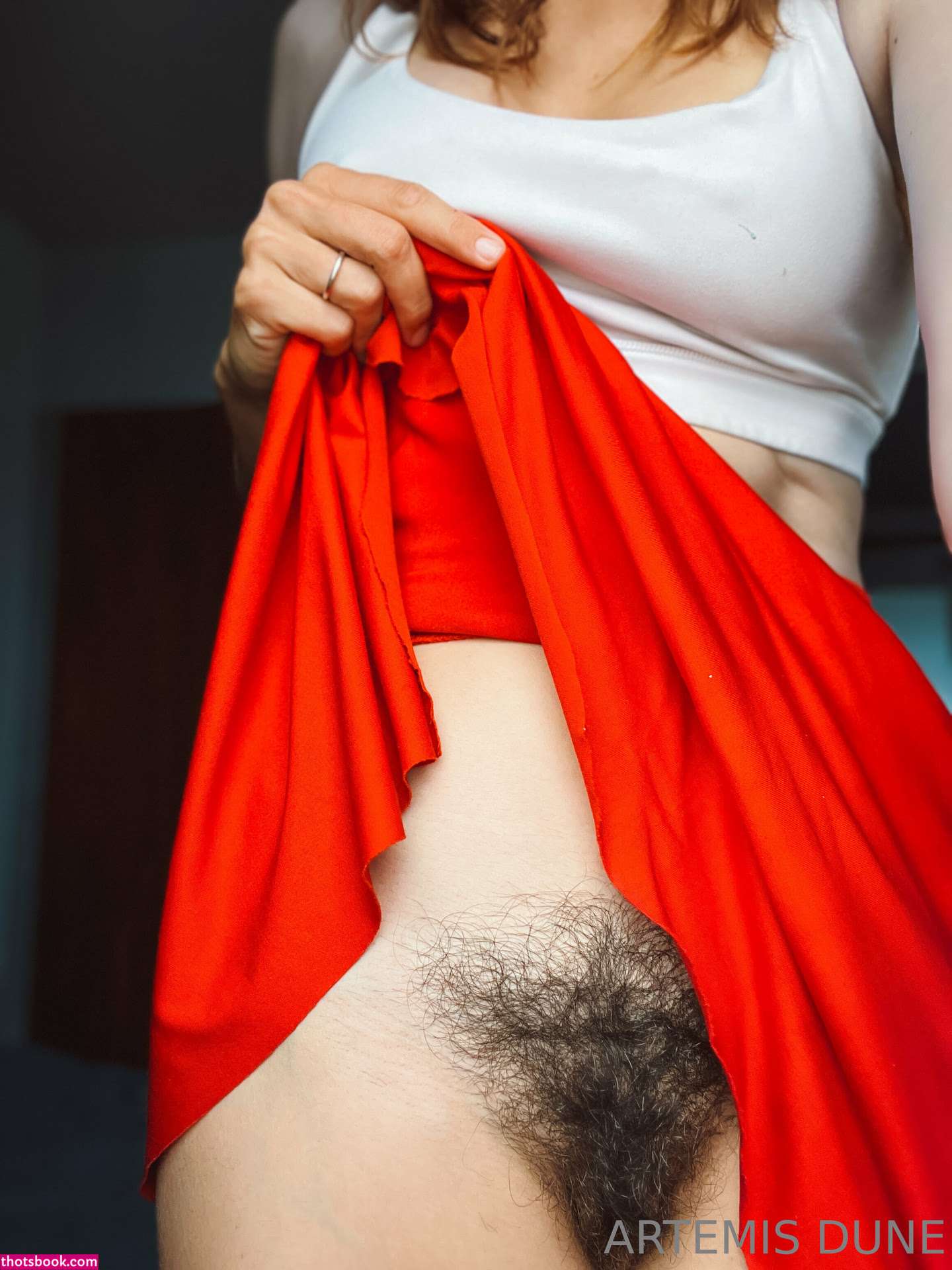 Artemisdune Photo #28