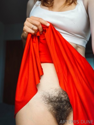 Artemisdune Photo #28