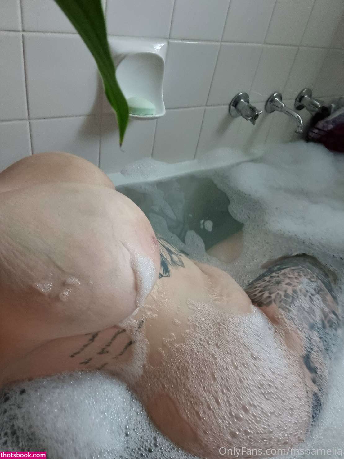 mspamelia Photo #129