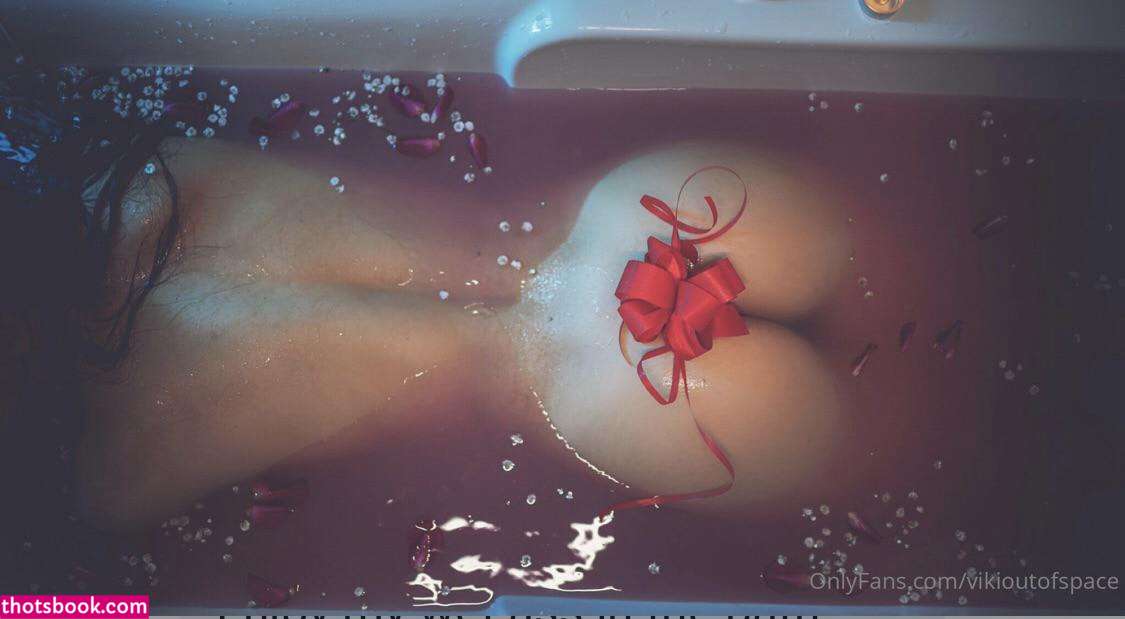 Vikioutofspace Photo #3