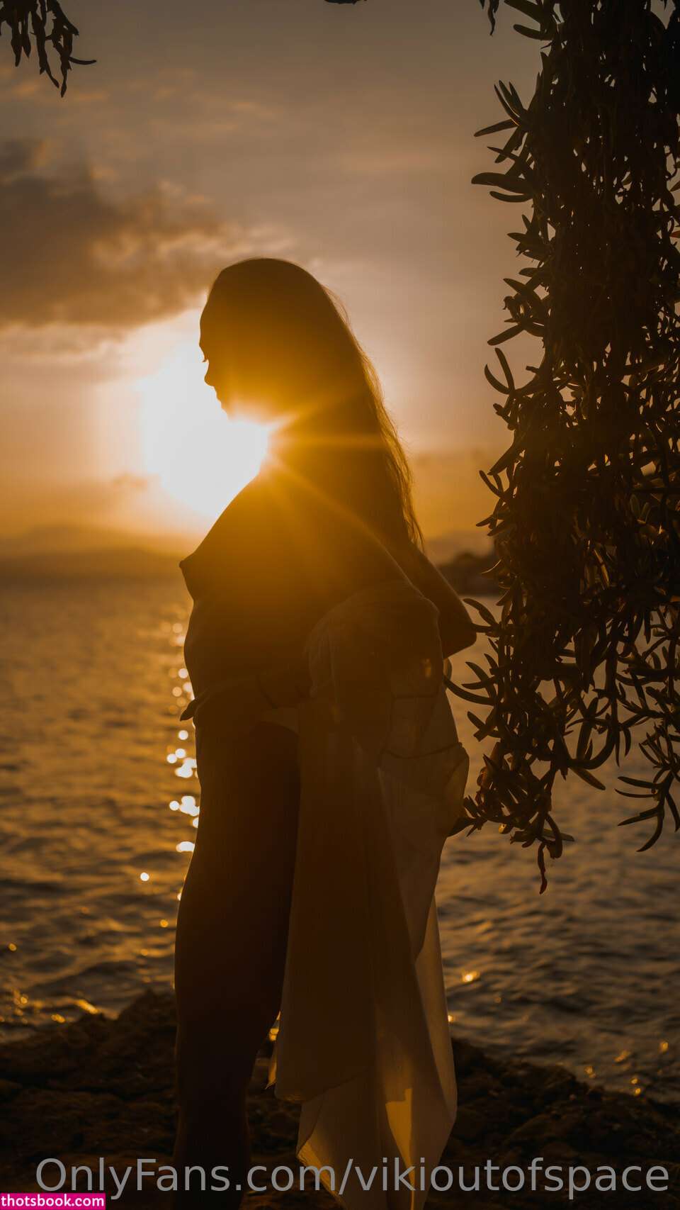 Vikioutofspace Photo #4