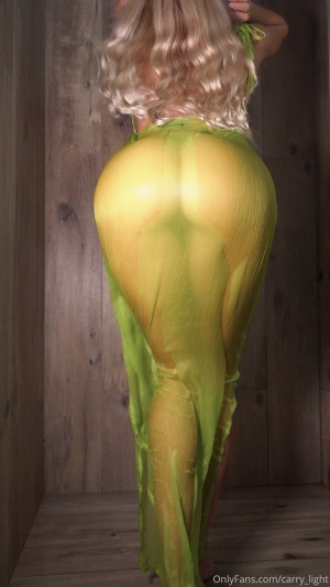 Carrylight Photo #19