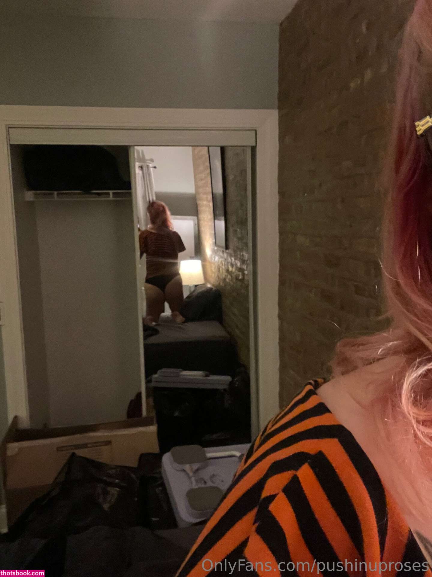 Pushinguproses Photo #18