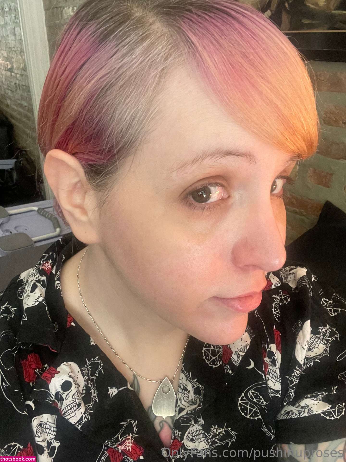 Pushinguproses Photo #23