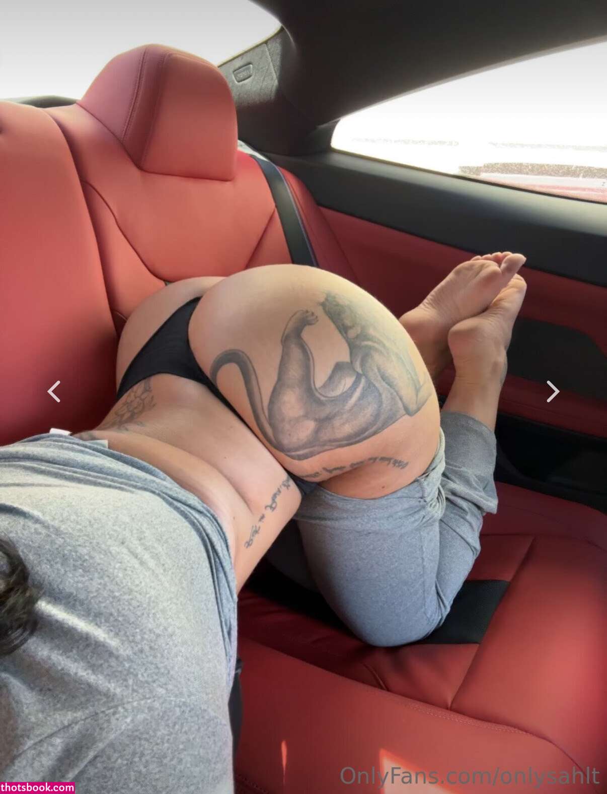 Sahlt Photo #71