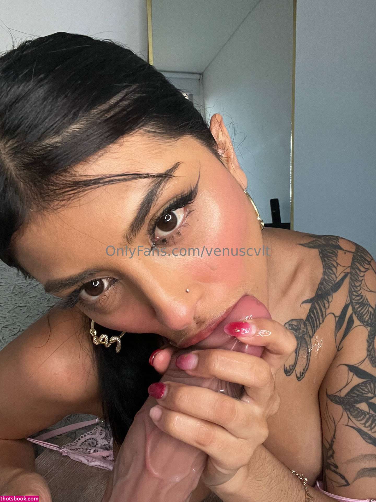 Venuscvlt Photo #129