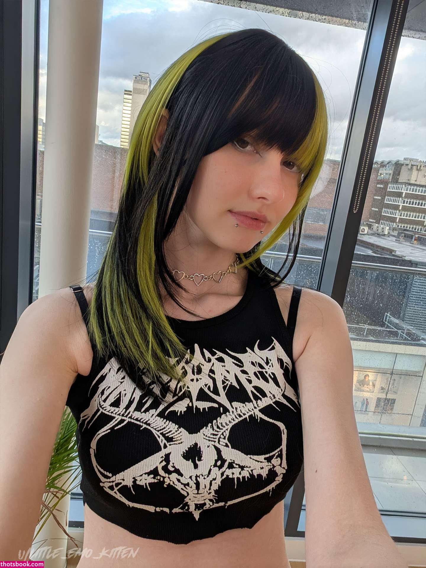 Little Emo Kitten Photo #273