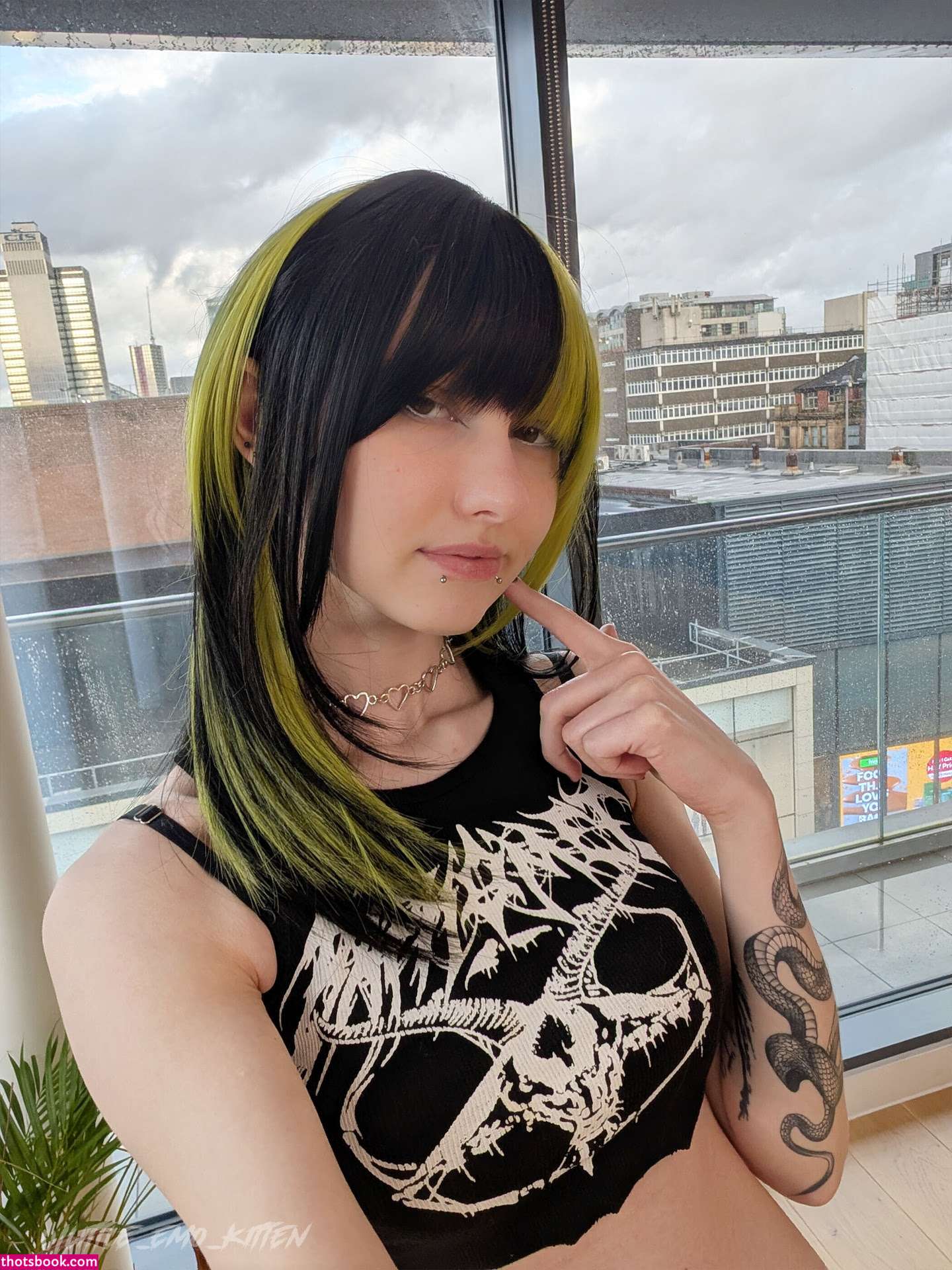 Little Emo Kitten Photo #280