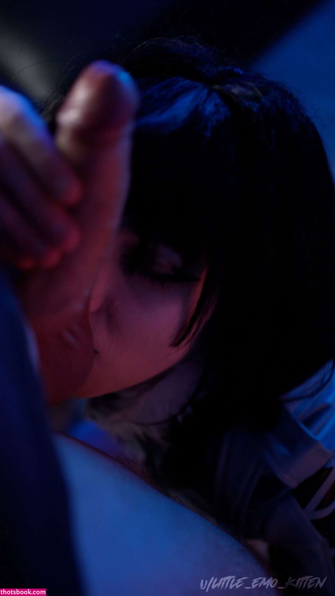 Little Emo Kitten Photo #329