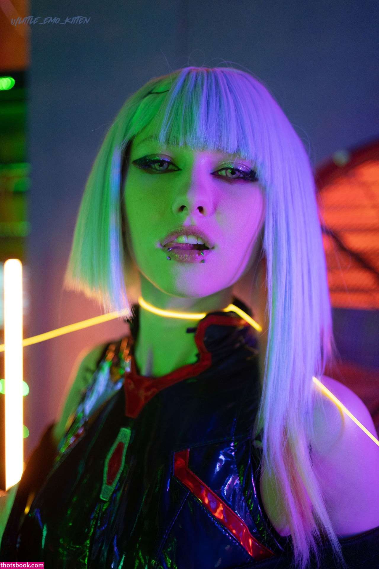 Little Emo Kitten Photo #341