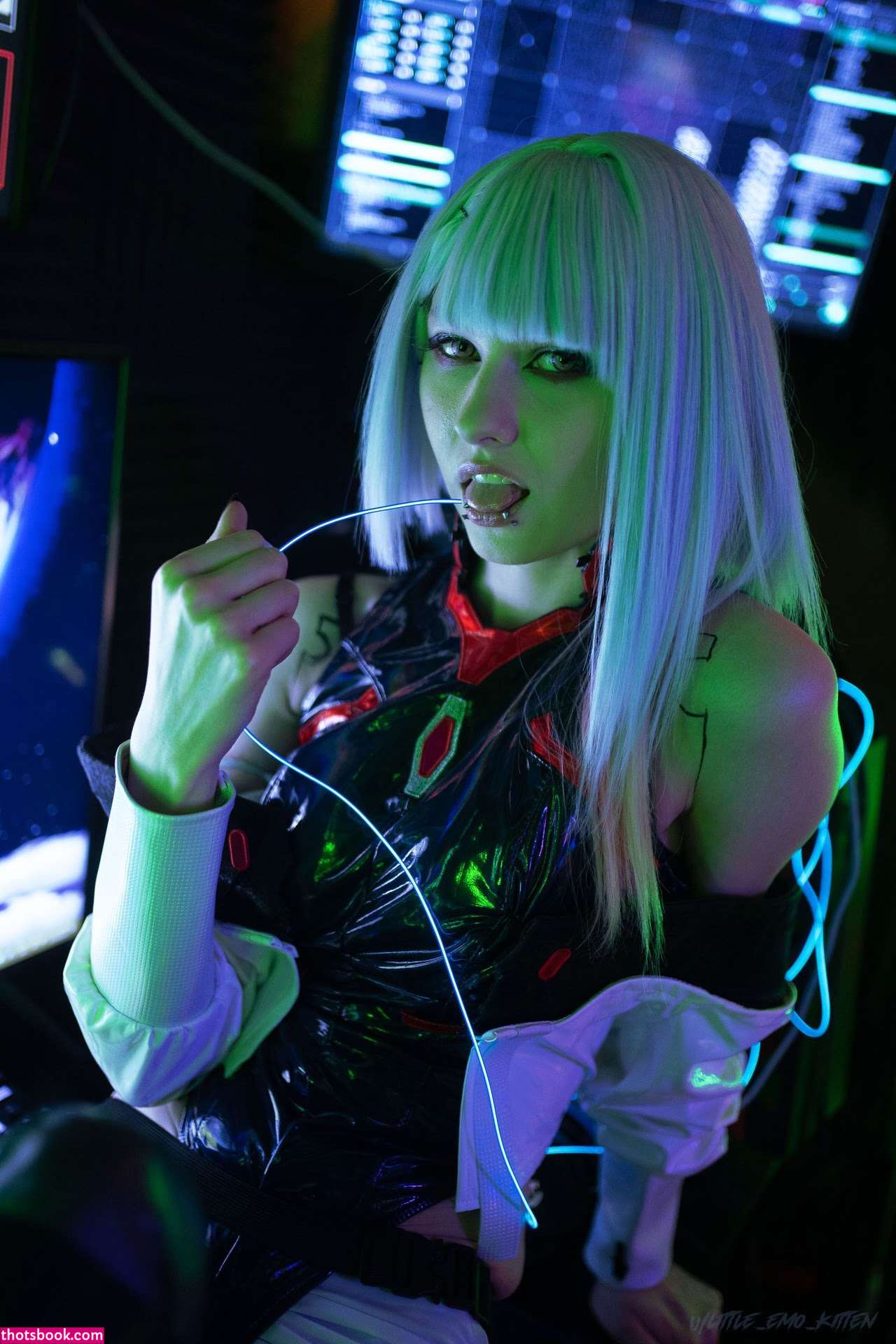 Little Emo Kitten Photo #355