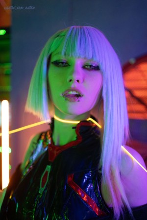 Little Emo Kitten Photo #341