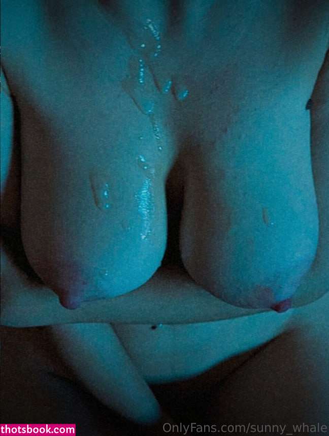 Sunny Whale Photo #8