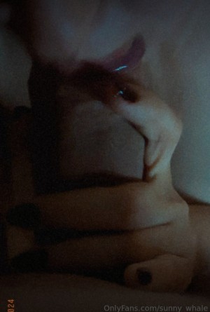 Sunny Whale Photo #15