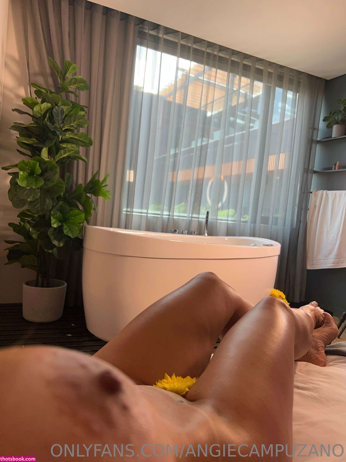 Angie Campuzano Photo #44