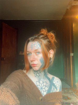 amberrorchid Photo #27