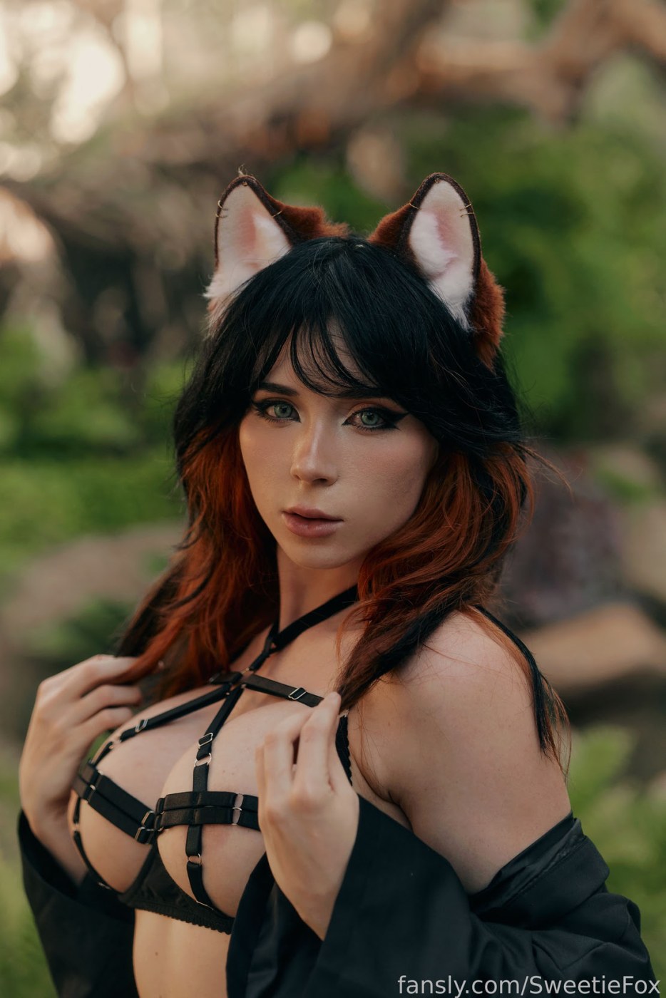 Sweetie Fox Photo #1107