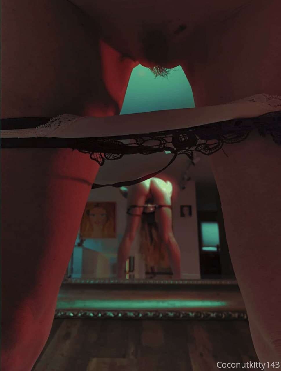 Coconut Kitty Photo #57