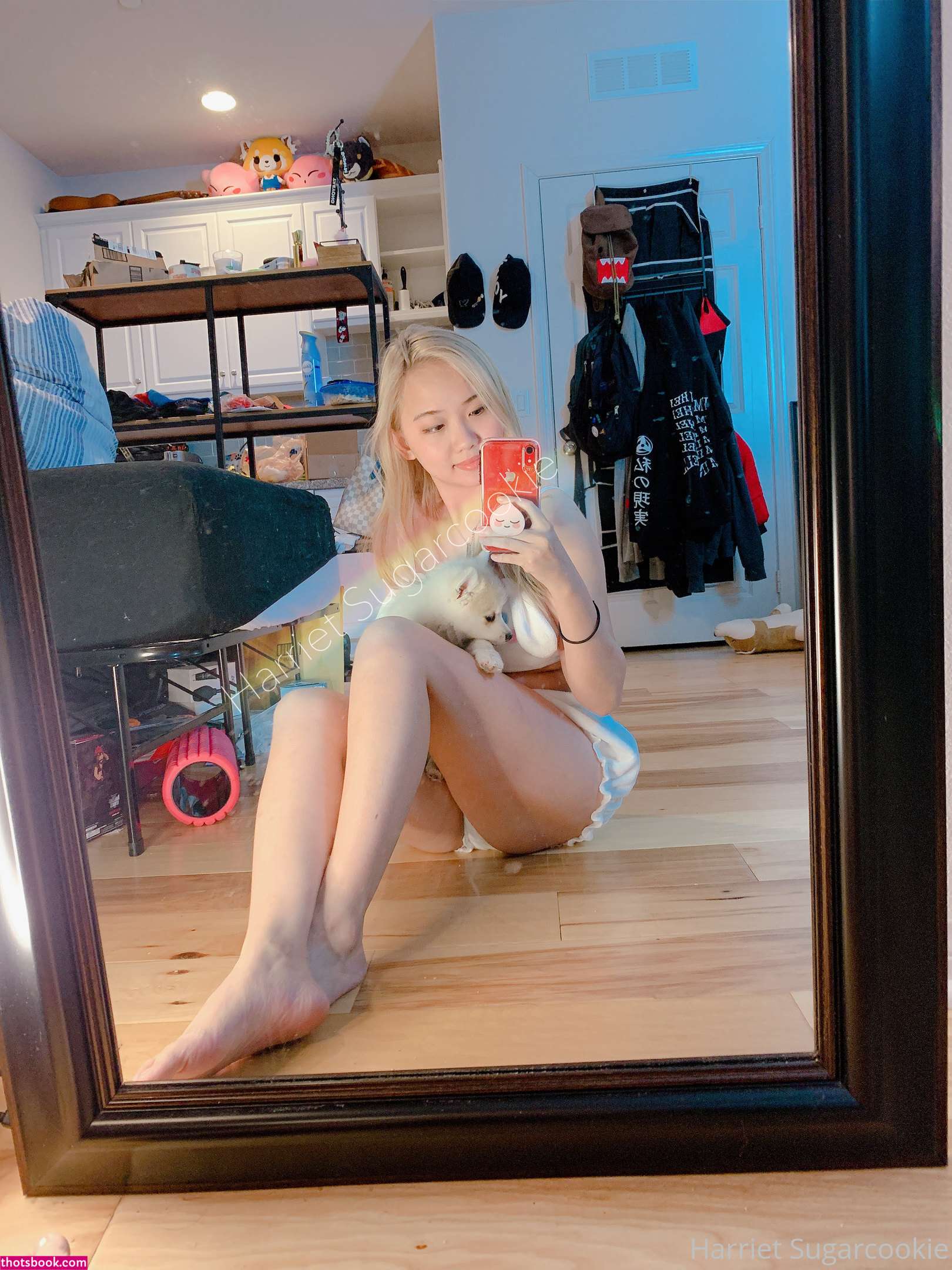 Harriet Sugarcookie Photo #318