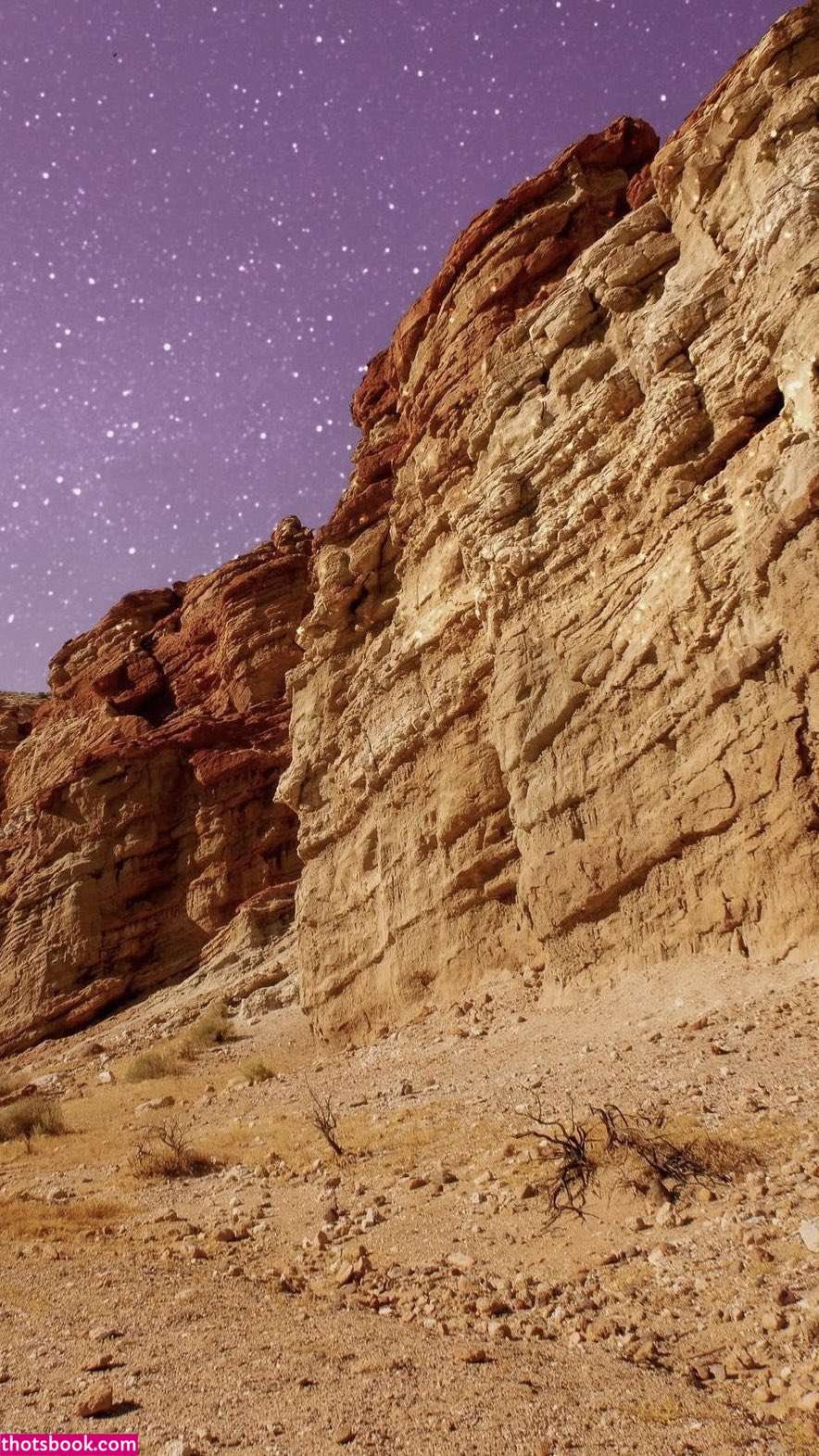 Vanessavenus21 Photo #16