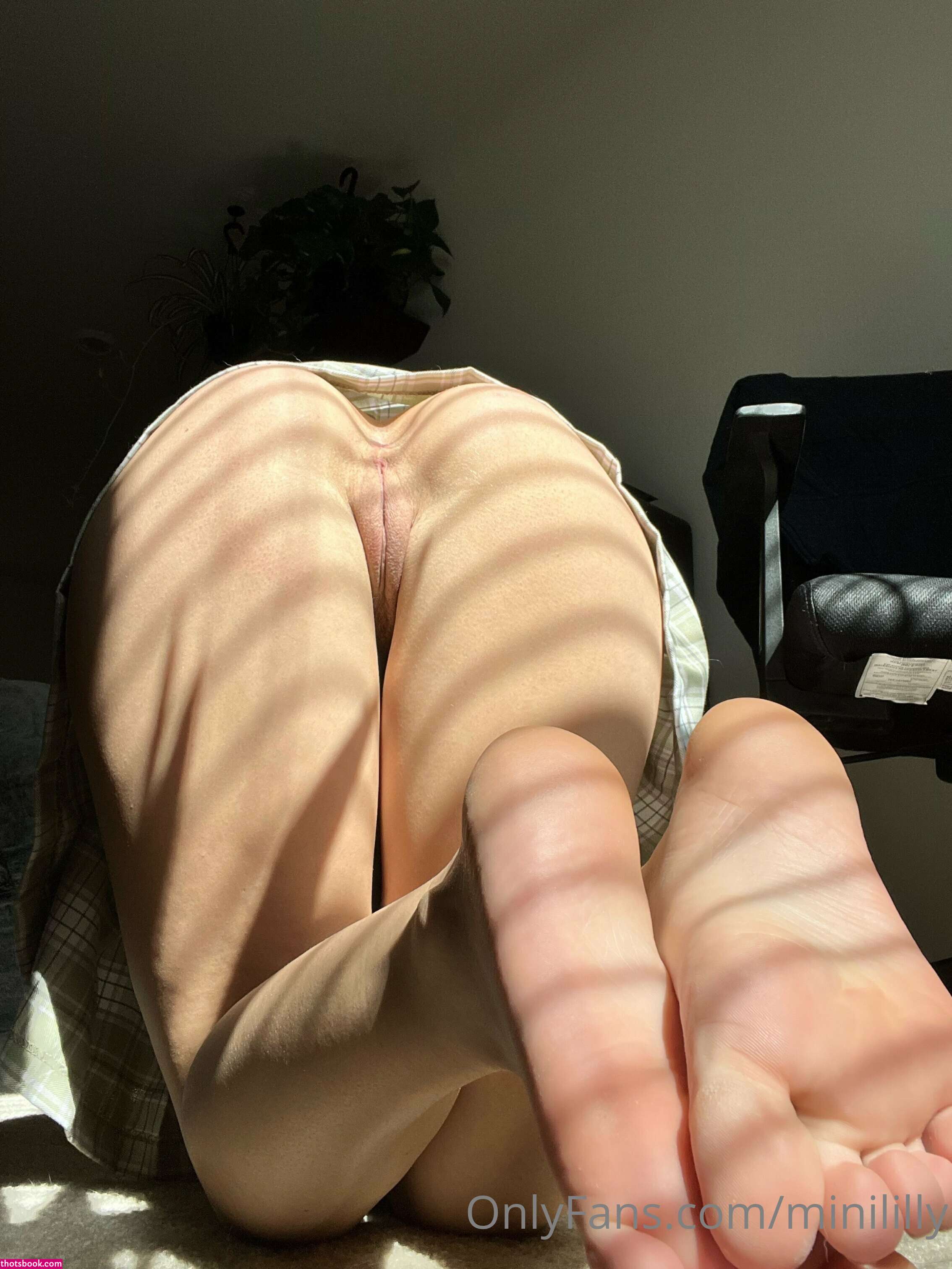 minililly Photo #116