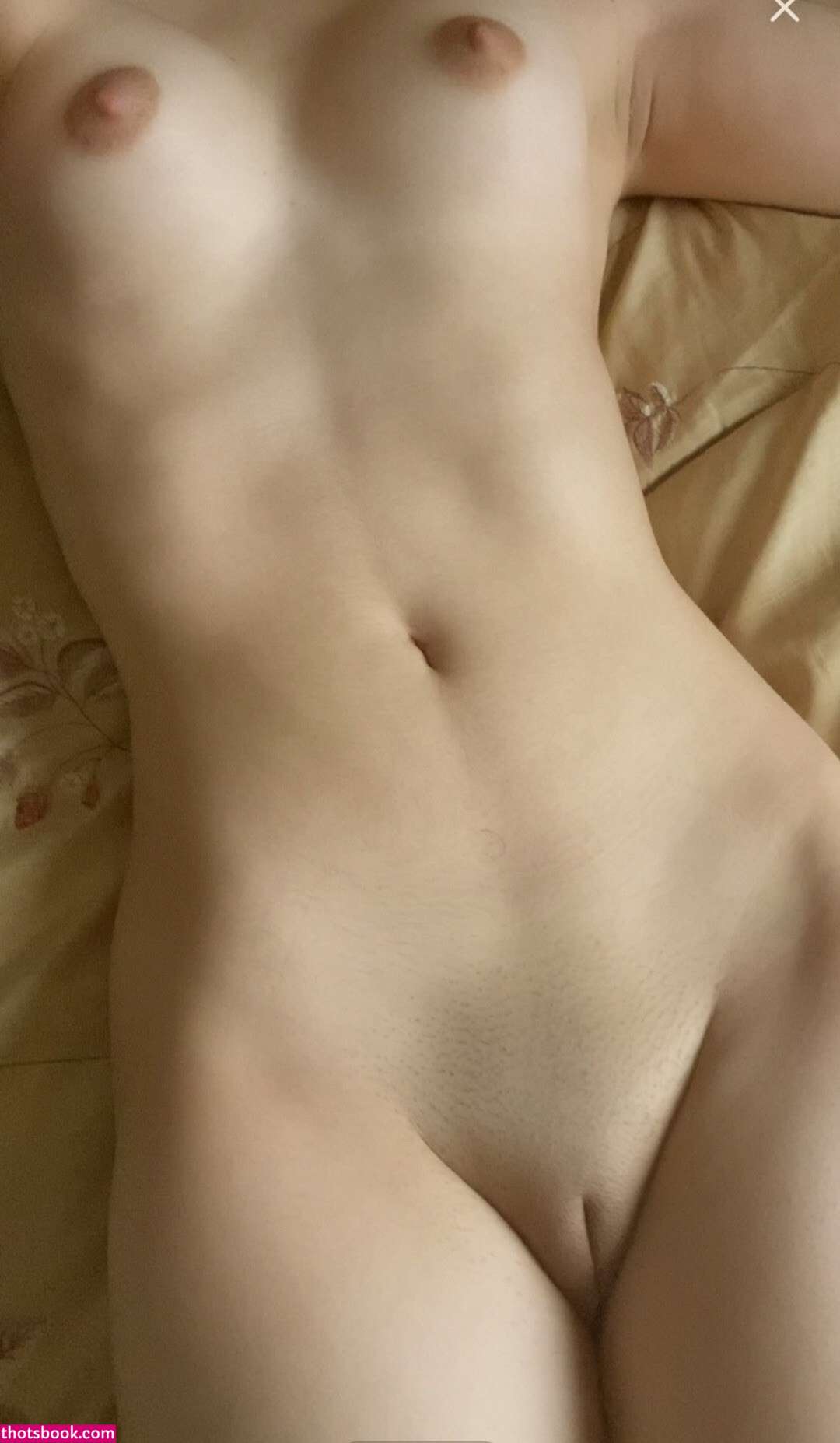 Jaderabbit Photo #18