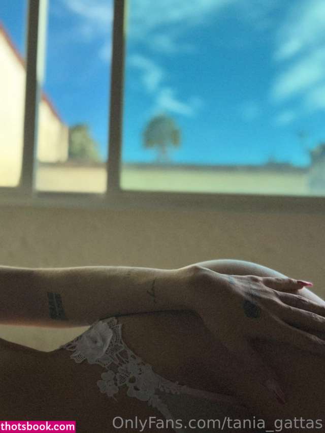 Tania Gattas Photo #8