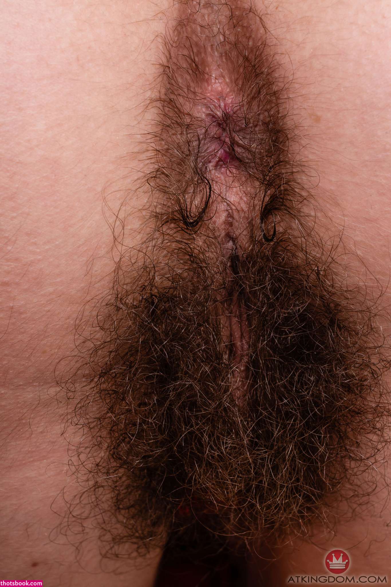 Pearl Sage Photo #157