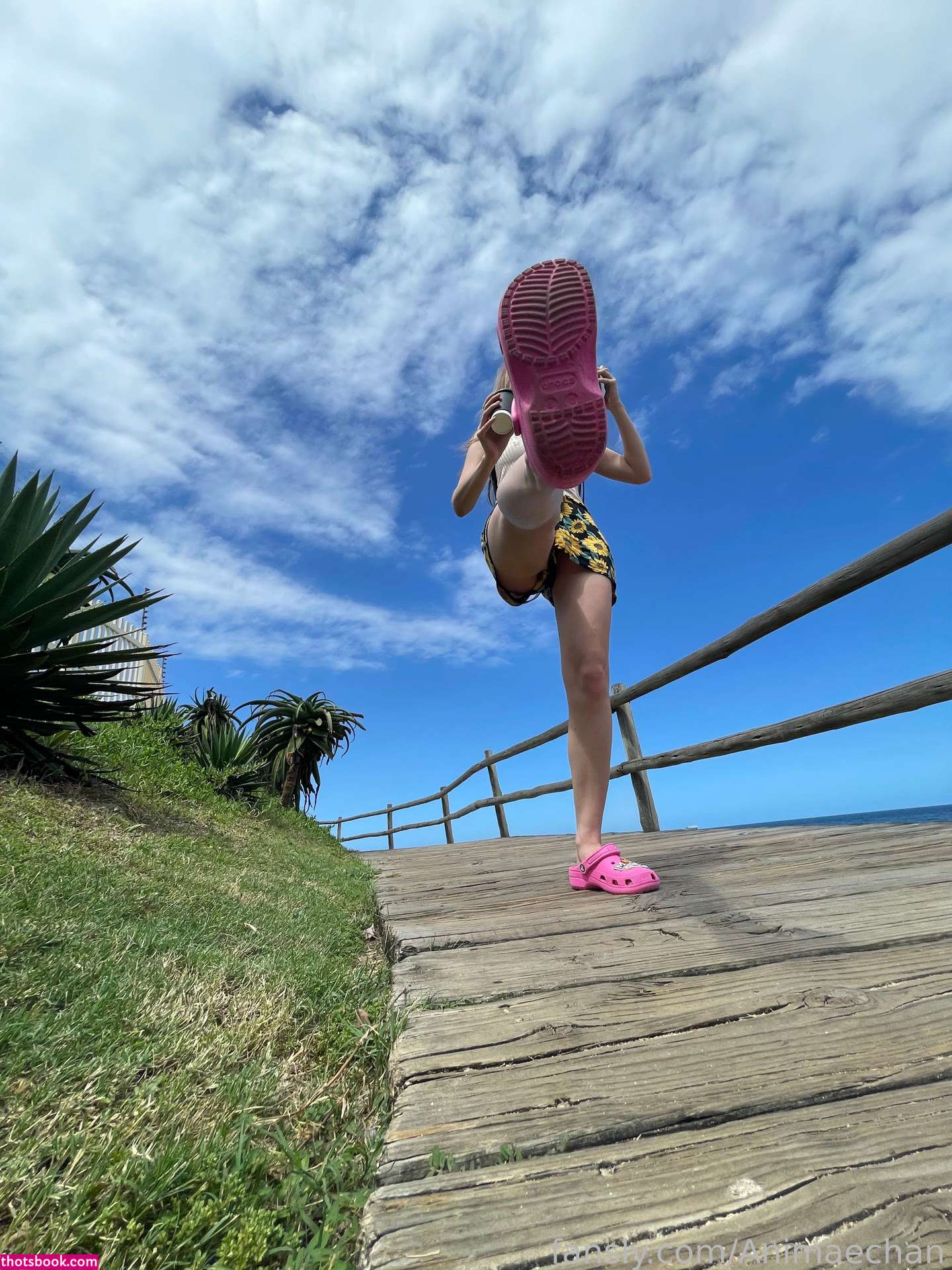 Animaechan Photo #46