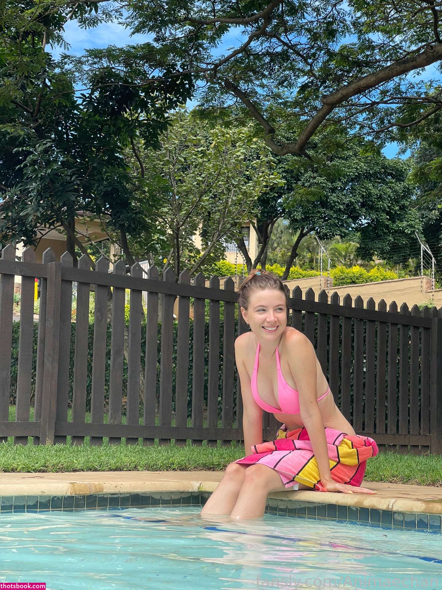 Animaechan Photo #47