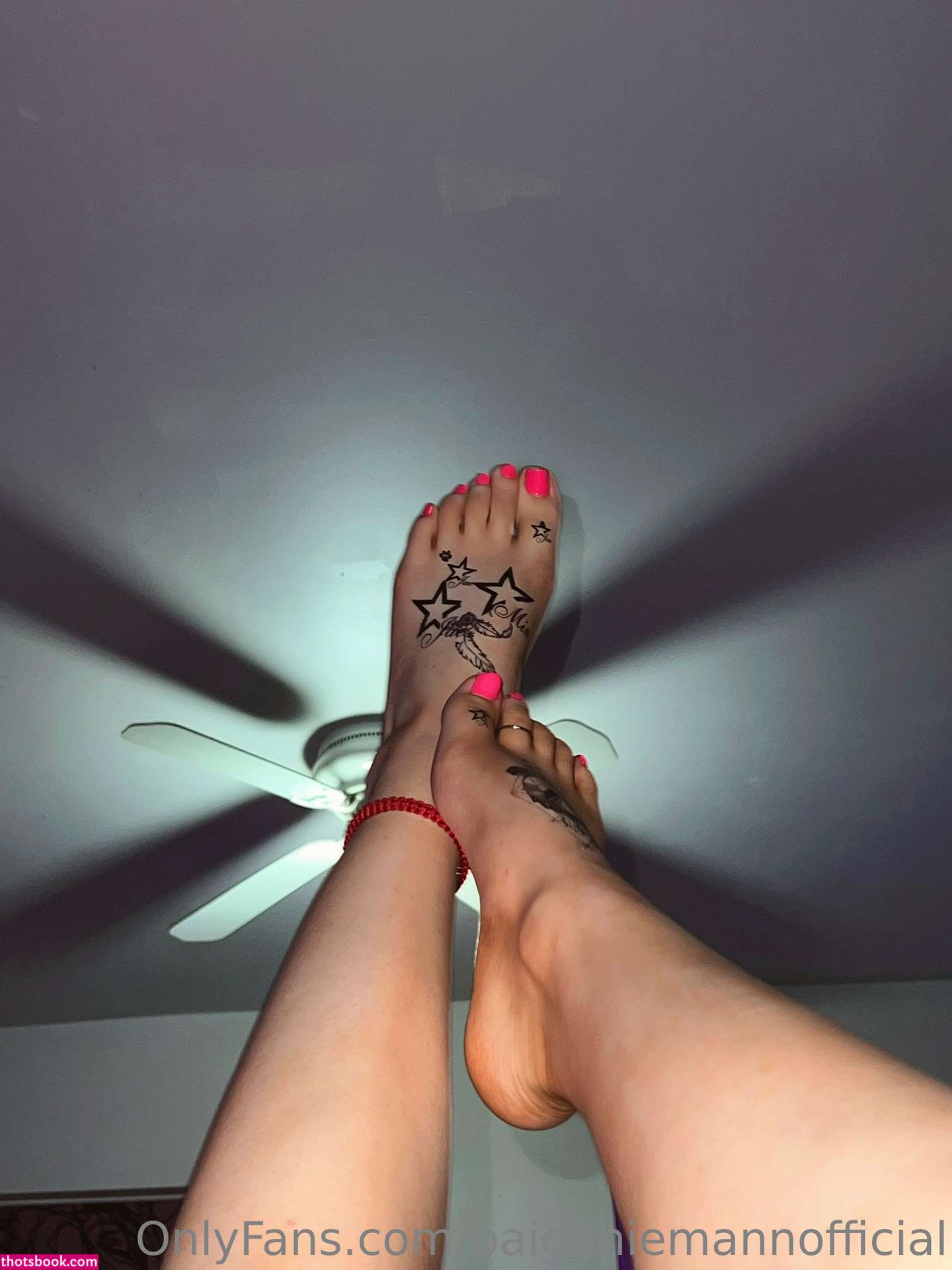 Paige Niemann Photo #44