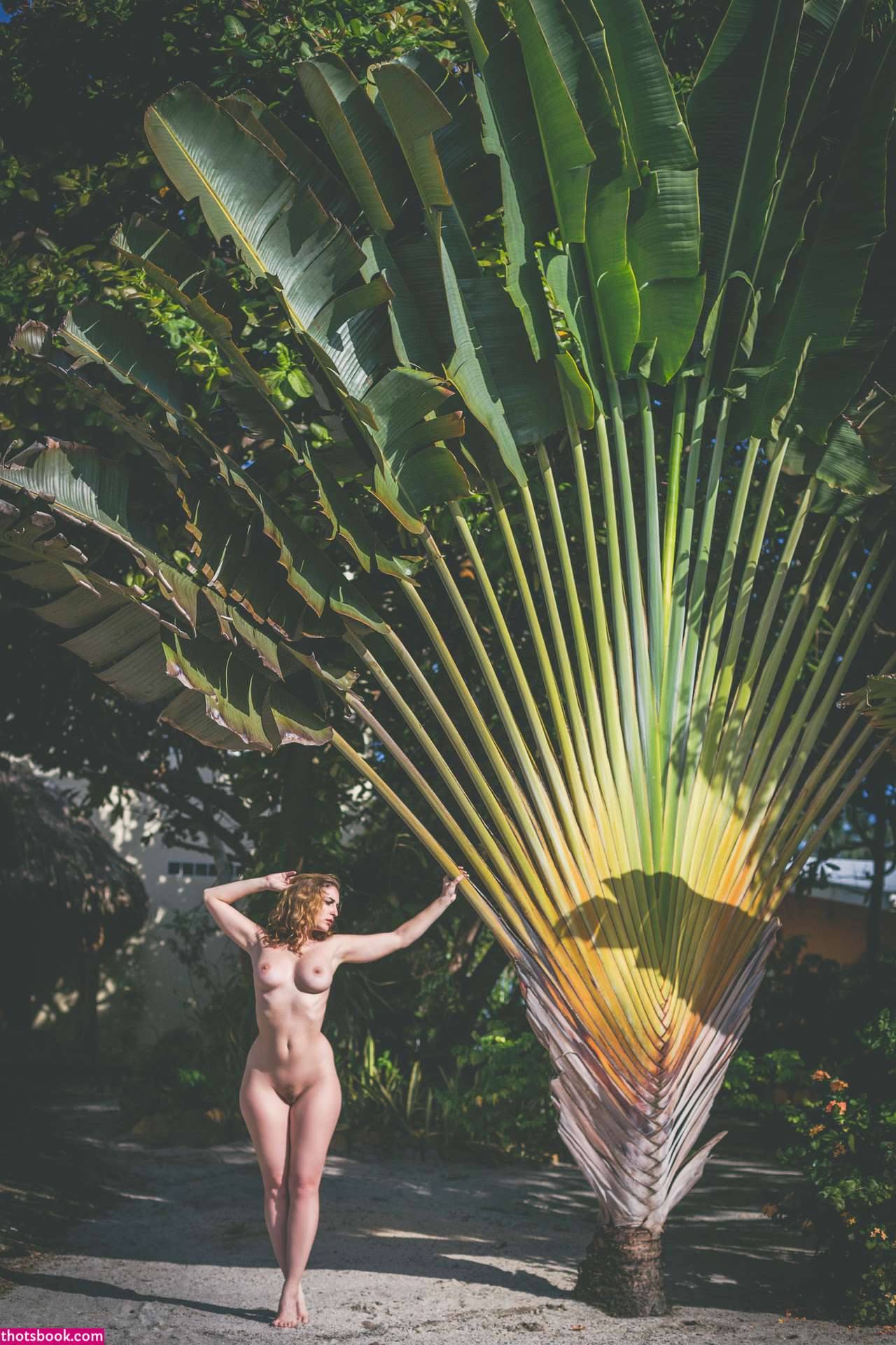 Carlotta Champagne Photo #700