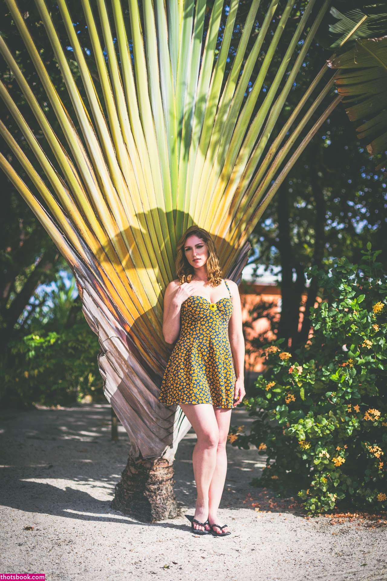 Carlotta Champagne Photo #728