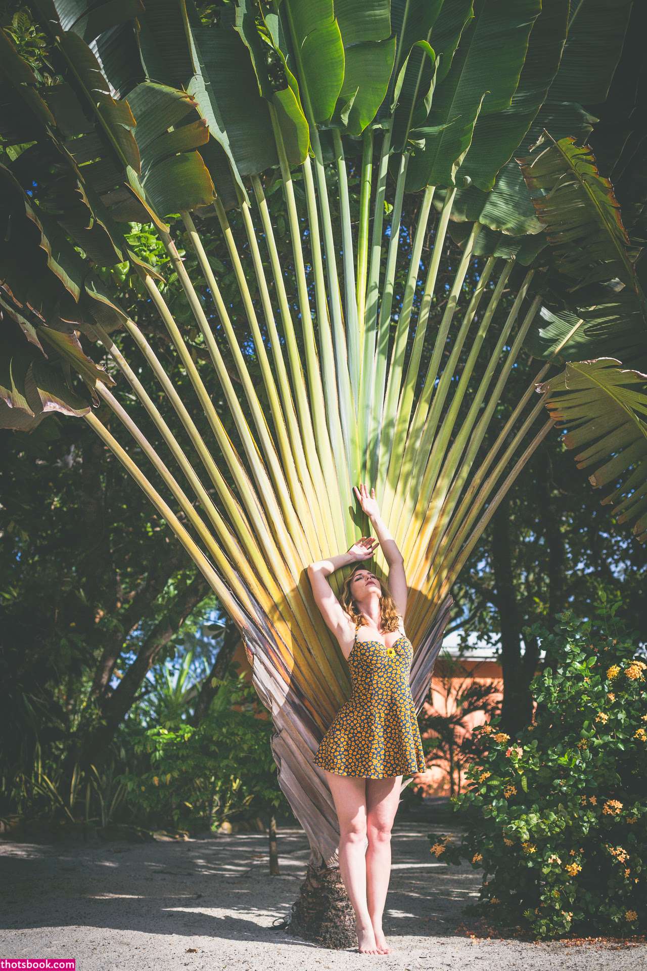 Carlotta Champagne Photo #729