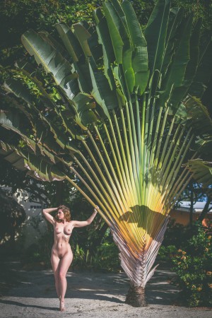 Carlotta Champagne Photo #688