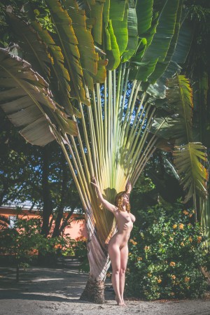 Carlotta Champagne Photo #690