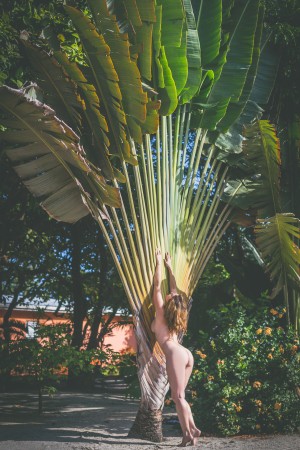 Carlotta Champagne Photo #702