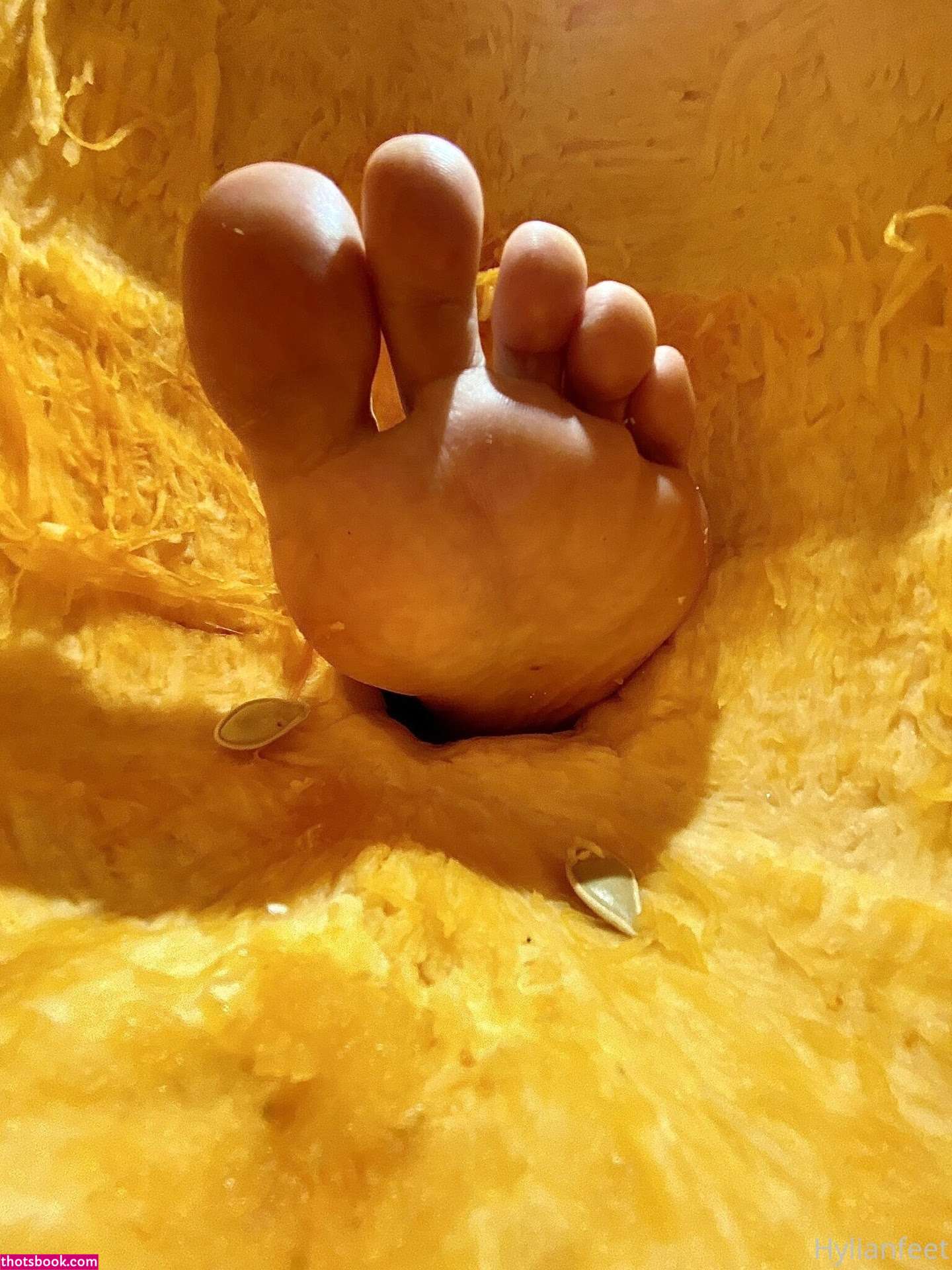 Zeldahyrule Photo #14