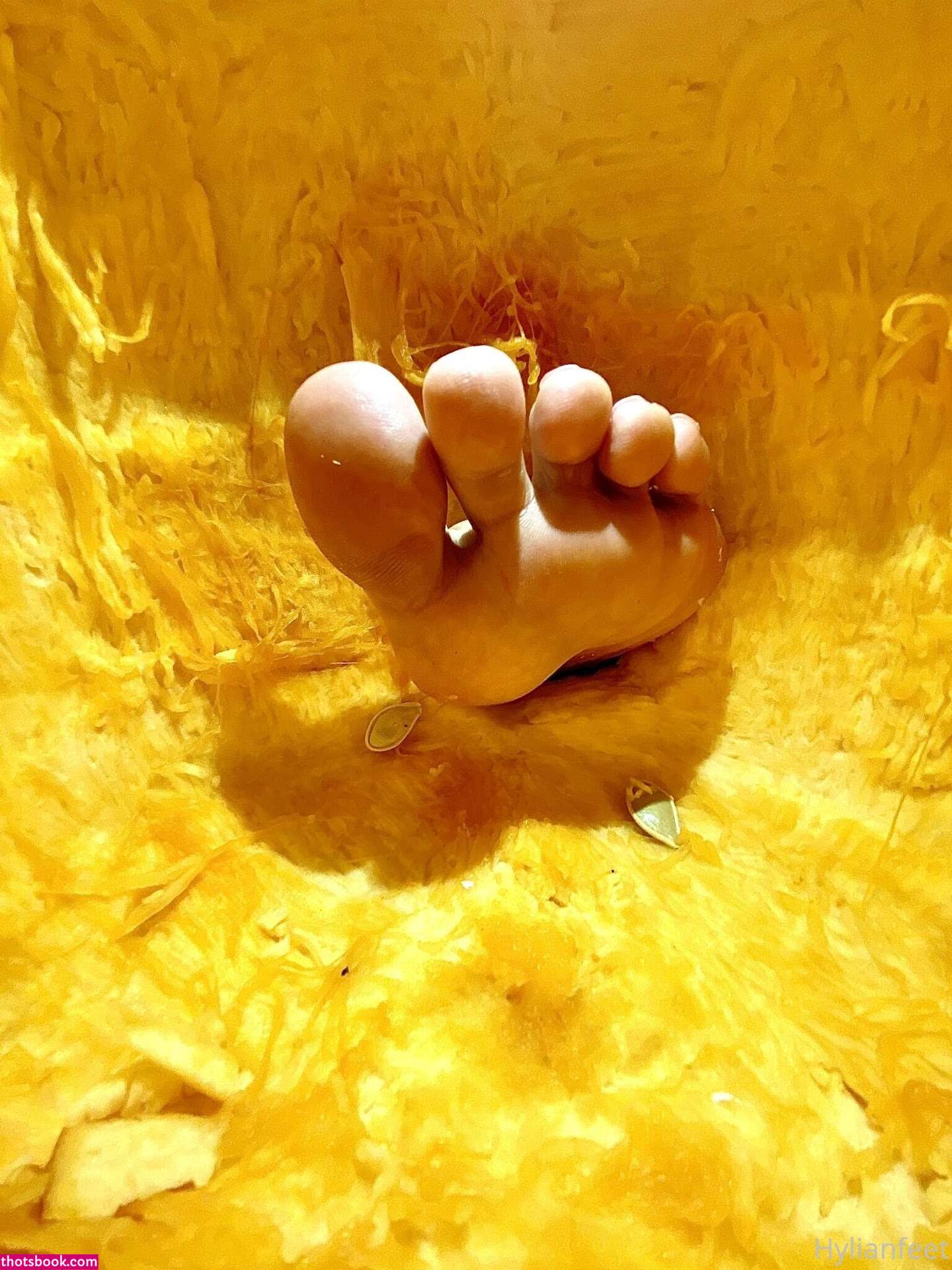 Zeldahyrule Photo #22