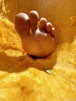 Zeldahyrule Photo #14