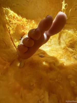 Zeldahyrule Photo #28