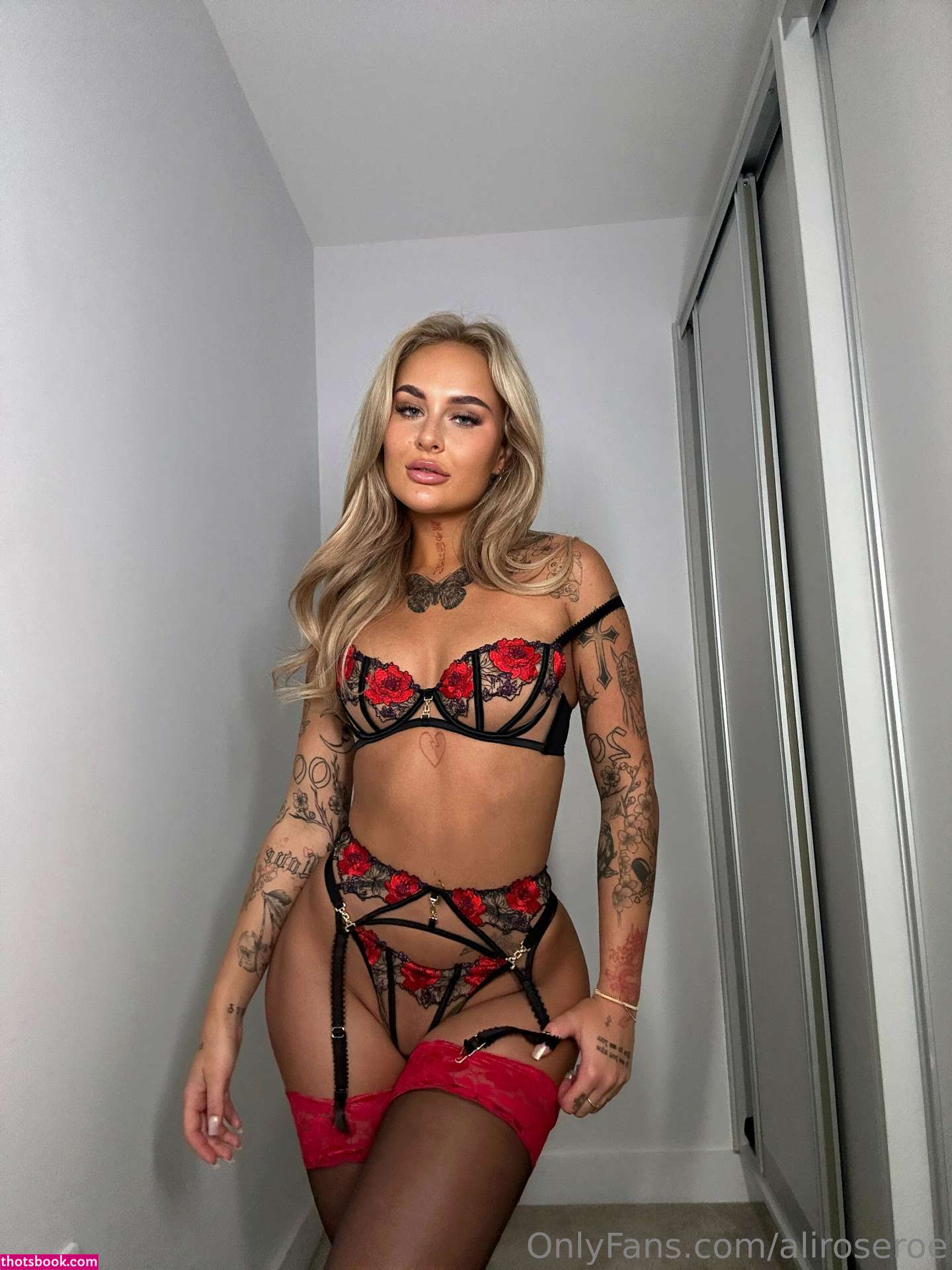 Aliroseroe Photo #154