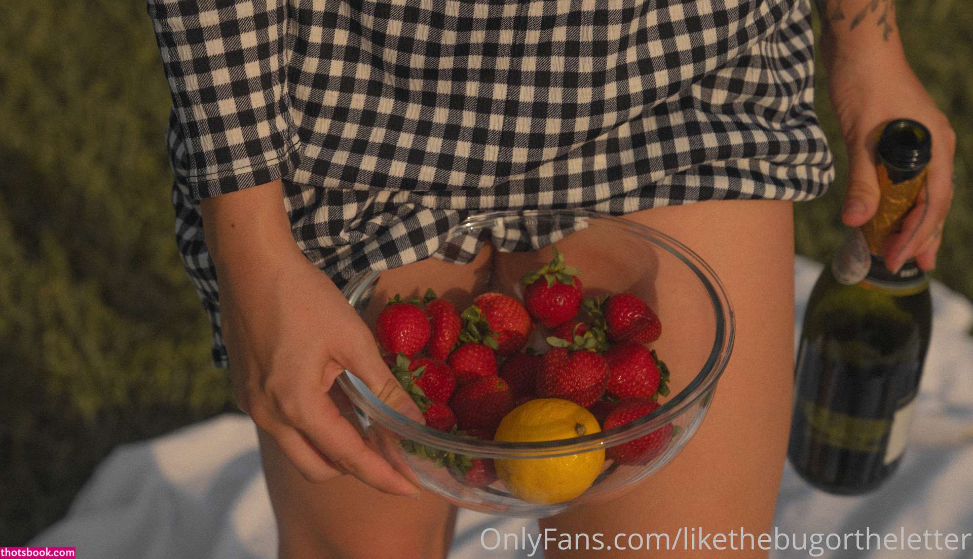 Bugortheletter Photo #151