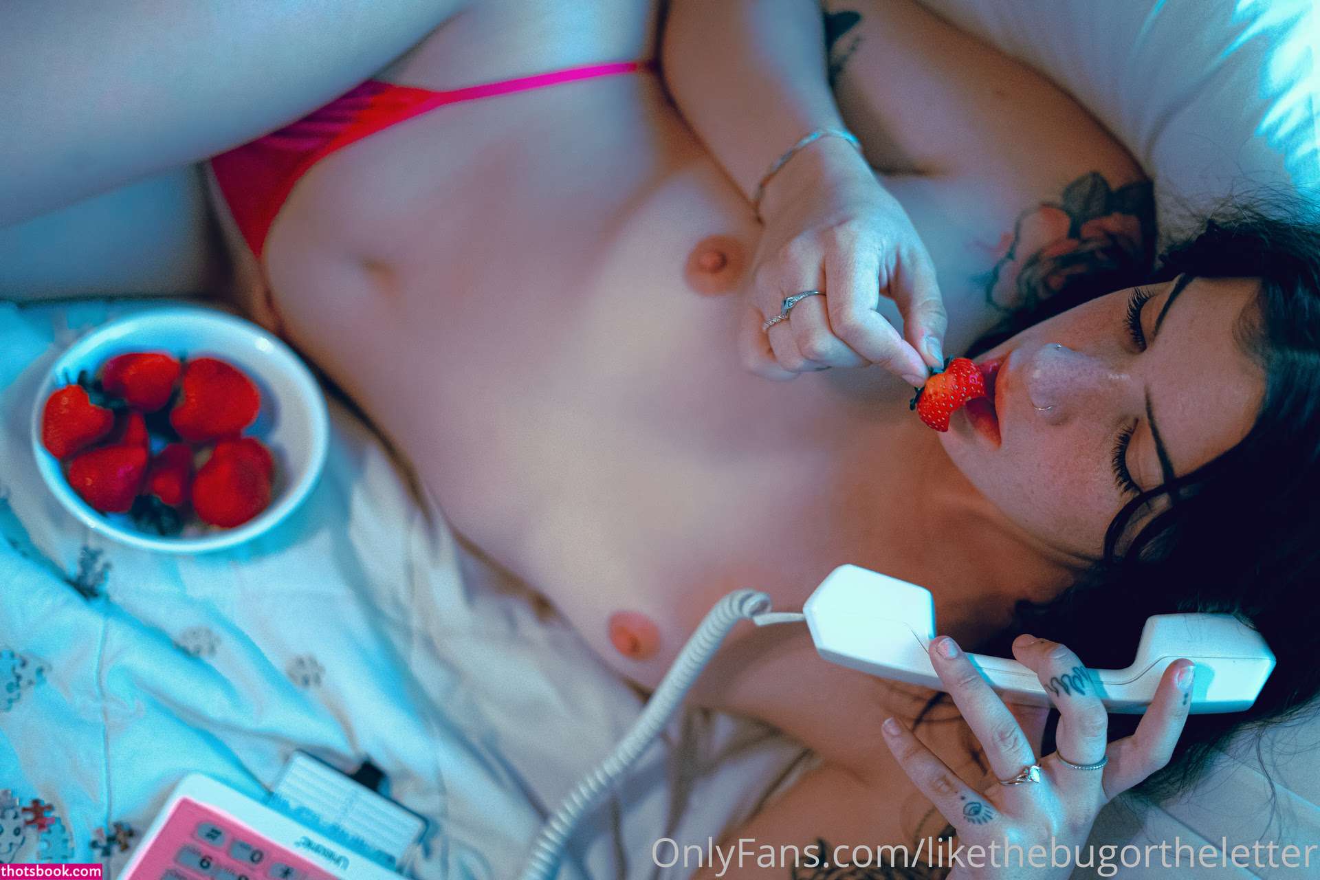 Bugortheletter Photo #224