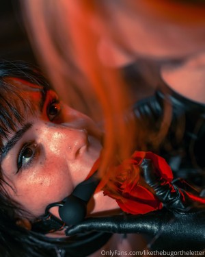 Bugortheletter Photo #218