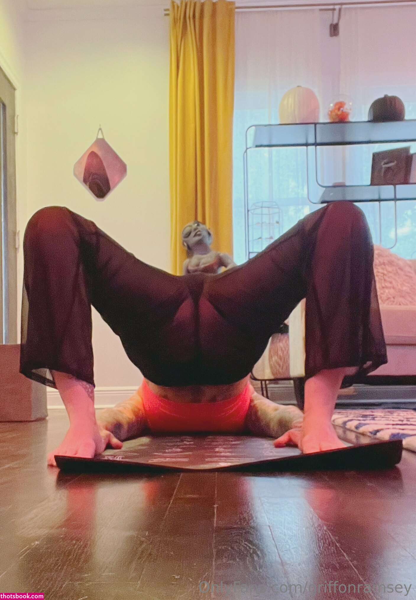 Griffon Ramsey Photo #156