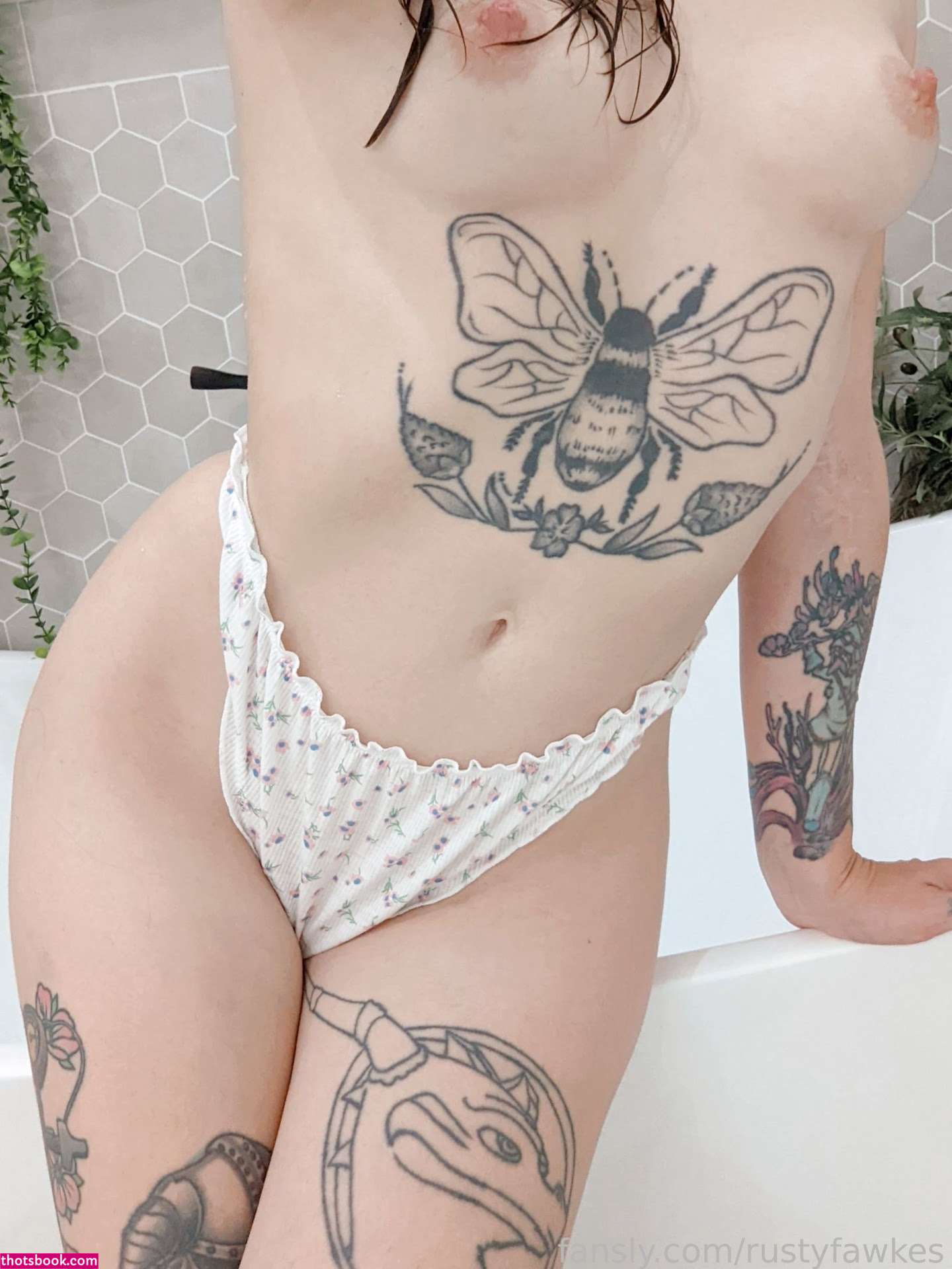 Rusty Fawkes Photo #618