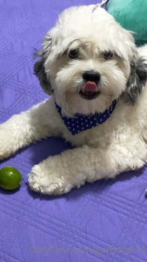 Saralia Gummies15 Photo #158