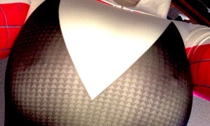 Cottontailva Photo #75